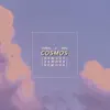 Coral & BVU - Cosmos (Remix) - Single